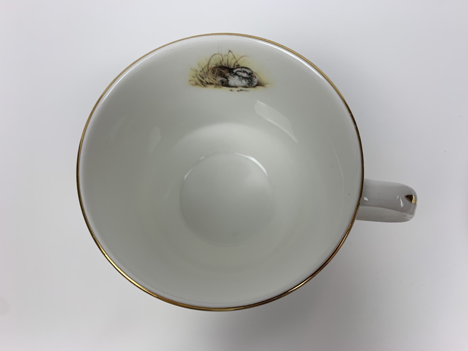 Elizabethan Staffordshire Fine Bone China Cup and Saucer Game Bird