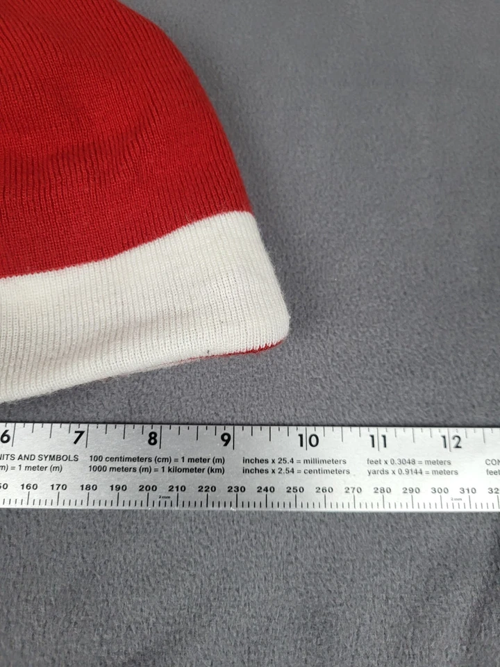 Gorro de hockey Wisconsin Badgers adulto talla única sombrero gorra calavera 2010 hockey clásico Foto 4 de 4