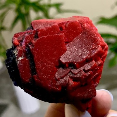 147G Natural black rose fluorescent cube fluorite specimen glow under UV light