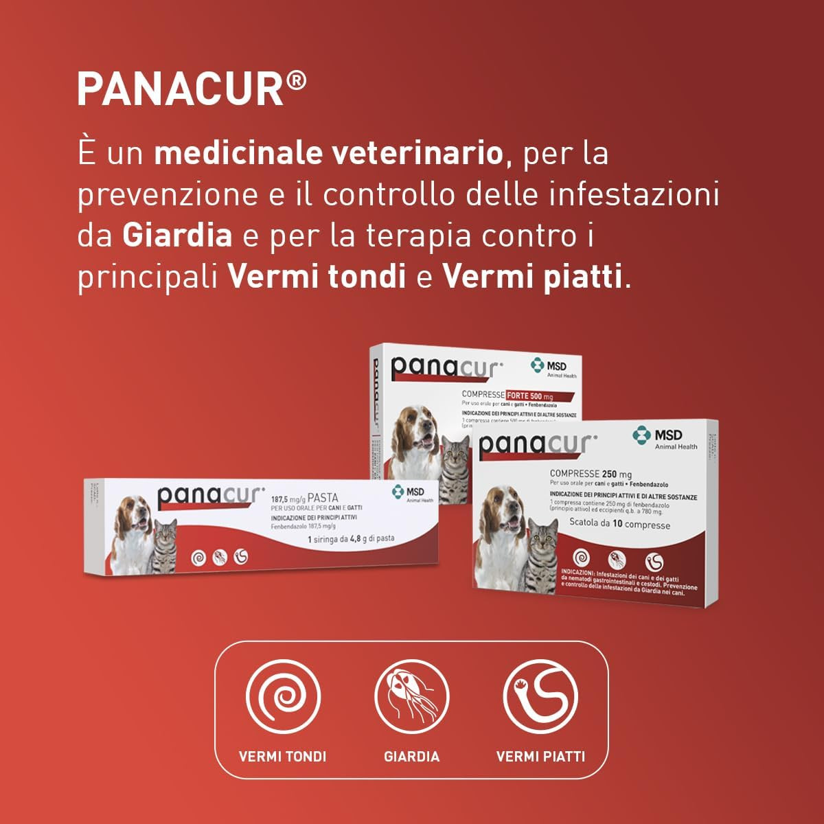 Vermifugo Cani e Gatti 250mg - Stop Giardia e Vermi Tondi | Acquista Online - 4