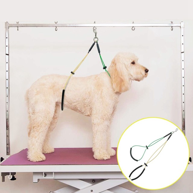 Pet Haunch Holder Dog Grooming for Table NoSit Restraint Harness Leash Loop US eBay