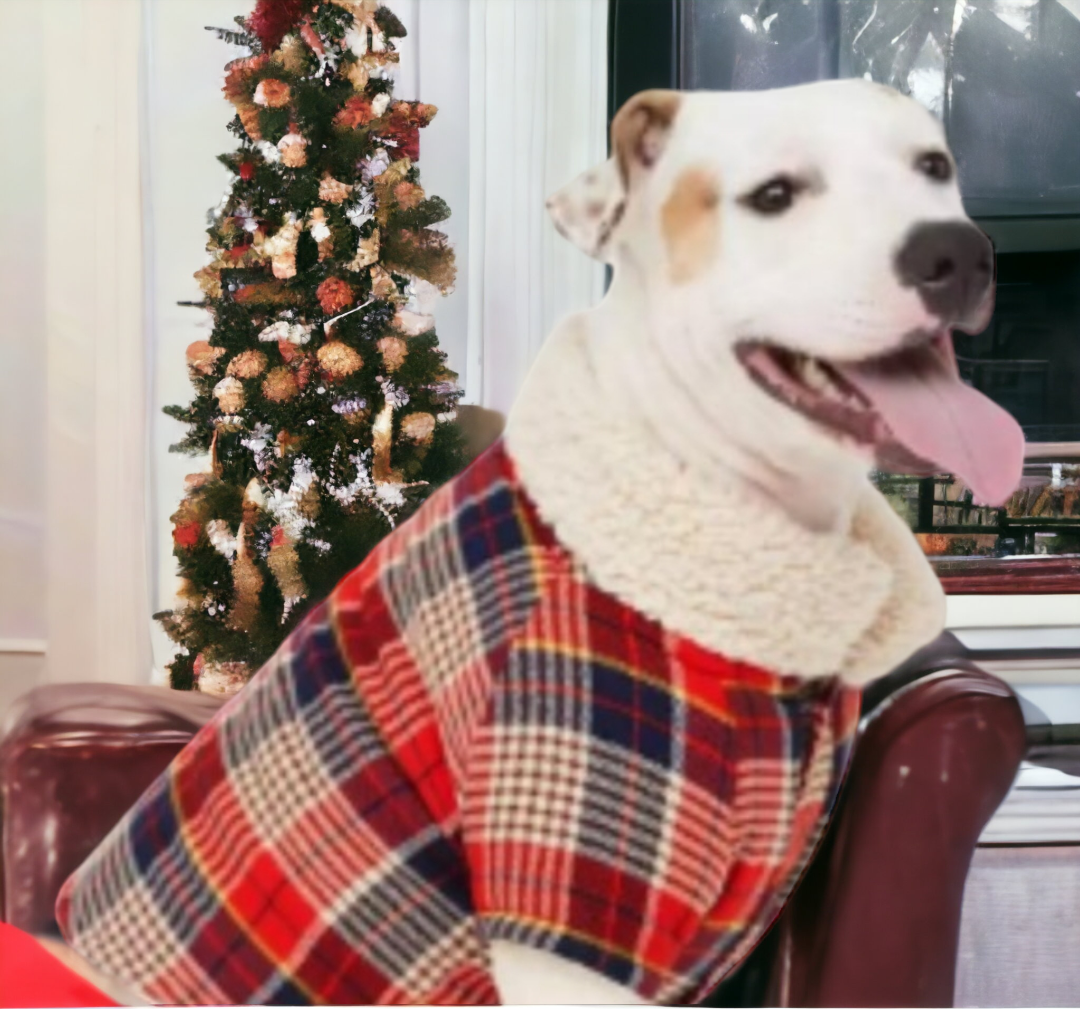 NWT AERIE Dog Flannel Shirt Sz S eBay