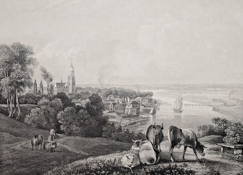 VUE ARNHEIM Gravure FOPPERT