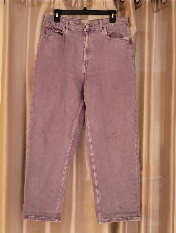 Everlane The Way-High Jean Archroma Day Break Organic Cotton Size 31 Regular