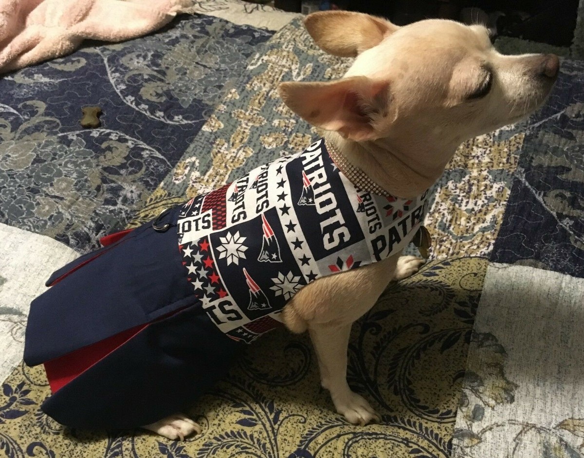 Cheerleader Outfit Patriots Dog Costume New England Patriots