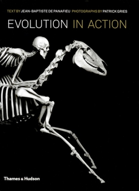 Evolution in Action (Hardback Book)