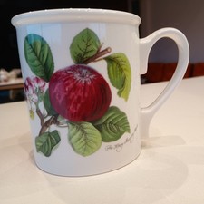 Vintage Portmierian Pomona The Hoary Morning Apple Mug Cup vgc