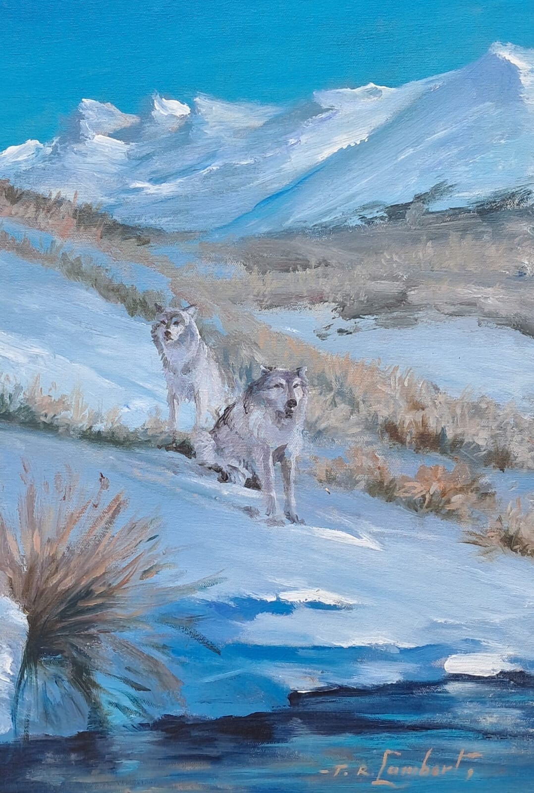 Picture 8 of 9