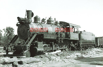 2B378 RP/NEG 1940s/50s? DANSVILLE & MT MORRIS RAILROAD 460