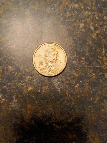 Rare Sacagawea 09 Rim Lettering Coin | eBay