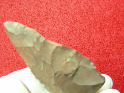 MANSION INN 2-1/4" CONNECTICUT Authentic Indian Relics - Picture 10 of 15