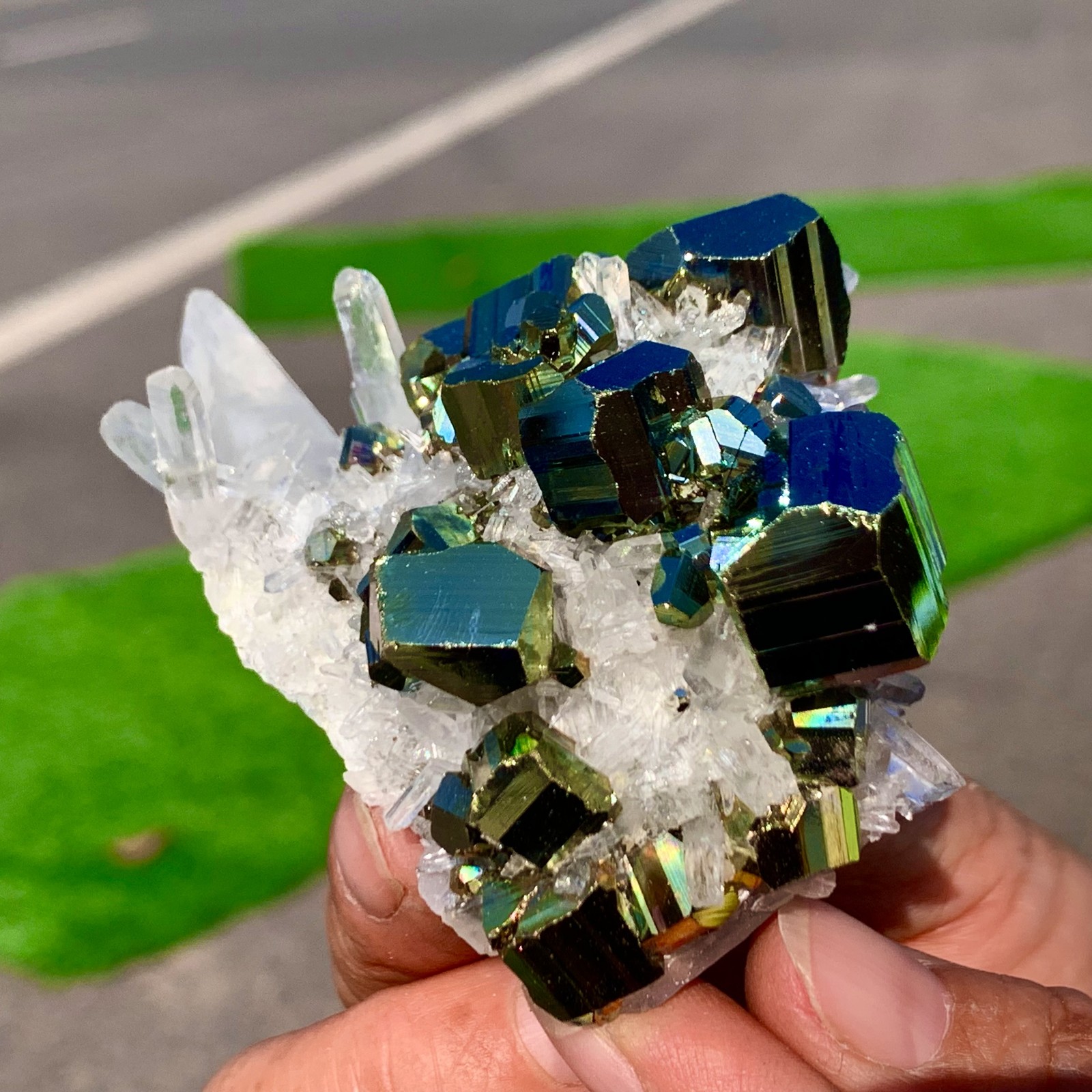 133G Natural colorful chalcopyrite clear Cluster coexisting crystal mineral