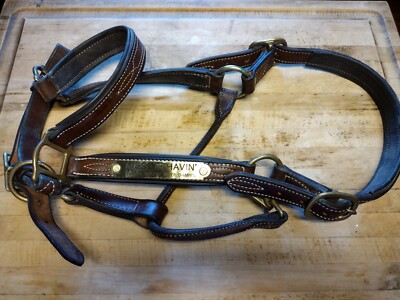 Nice Leather / Brass Bridle - ''Miss Behavin' 2012 KHJA Hopeful Jumper Champion''