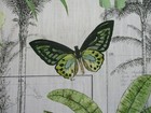 Picture 5 of 8