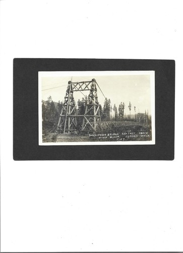 WASHINGTON STATE REAL PC "Suspension Bridge, Carson" UNBENUTZT ohne Schrift SAUBER