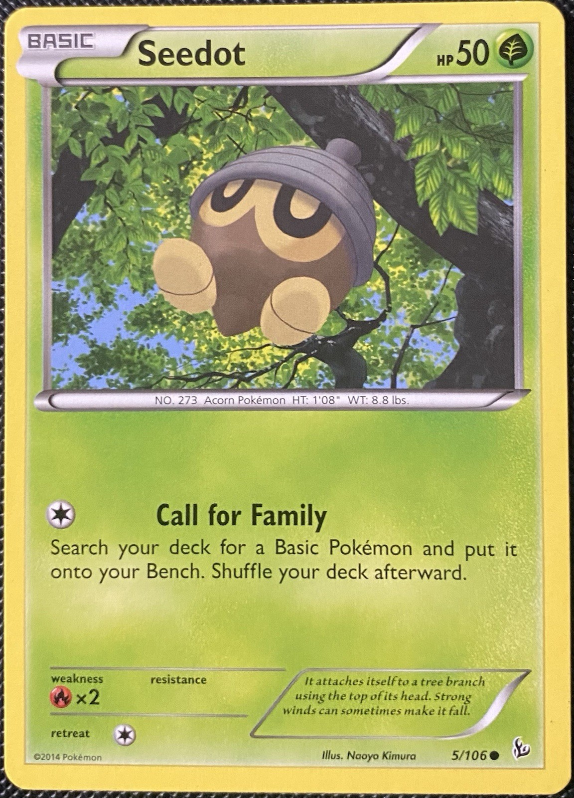 Seedot 5/106 Flashfire Regular - Pokémon Card