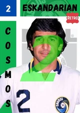 NASL NEW YORK COSMOS  DEFUNCT  FUN CARDS  -  NASL  (Pick a Card)