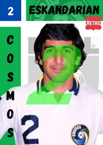 NASL NEW YORK COSMOS DEFUNCT FUN CARDS - NASL (Pick a Card)