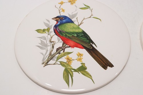 Set 4 H&R Johnson Fliesen Keramik Vögel bunte Singvögel Untersetzer Vintage 6 Zoll rund - Bild 5 von 7