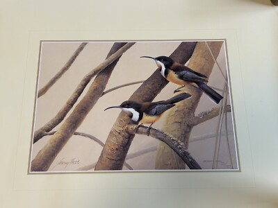 Jeremy Boot Adelaide - Eastern Spinebill - Limited 221/750 Litho
