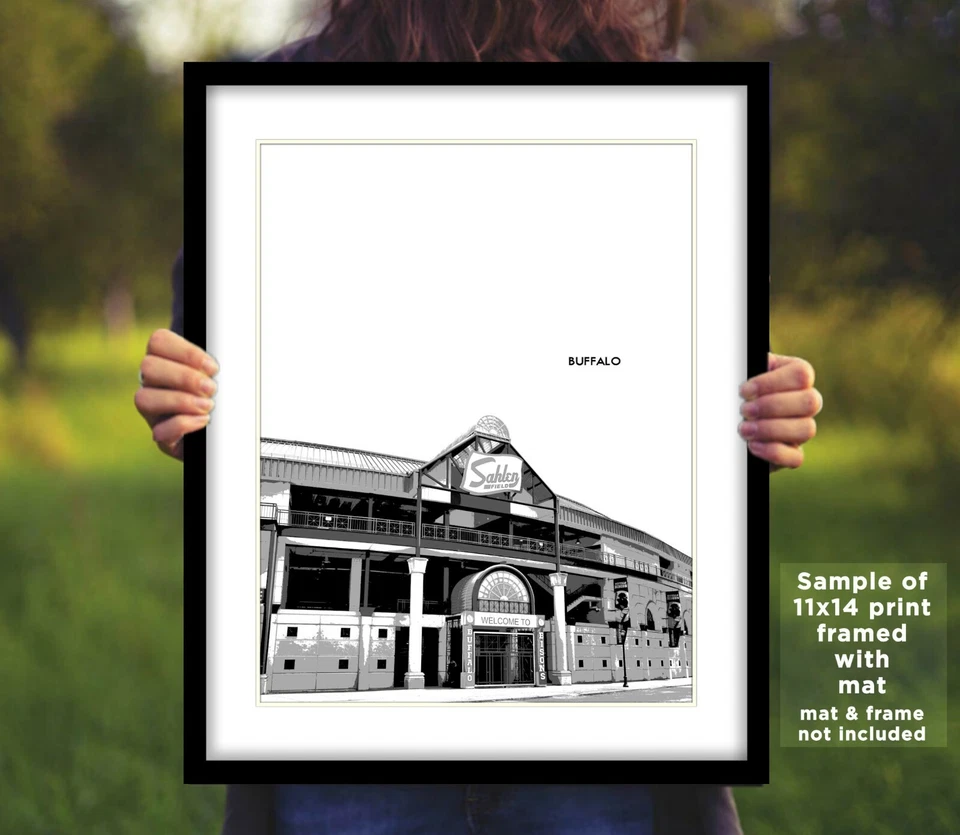 Fotografía de campo Sahlen de bisontes de búfalo impresión STADIUM SKYLINE 8x10 11x14 16x20 Foto 4 de 4