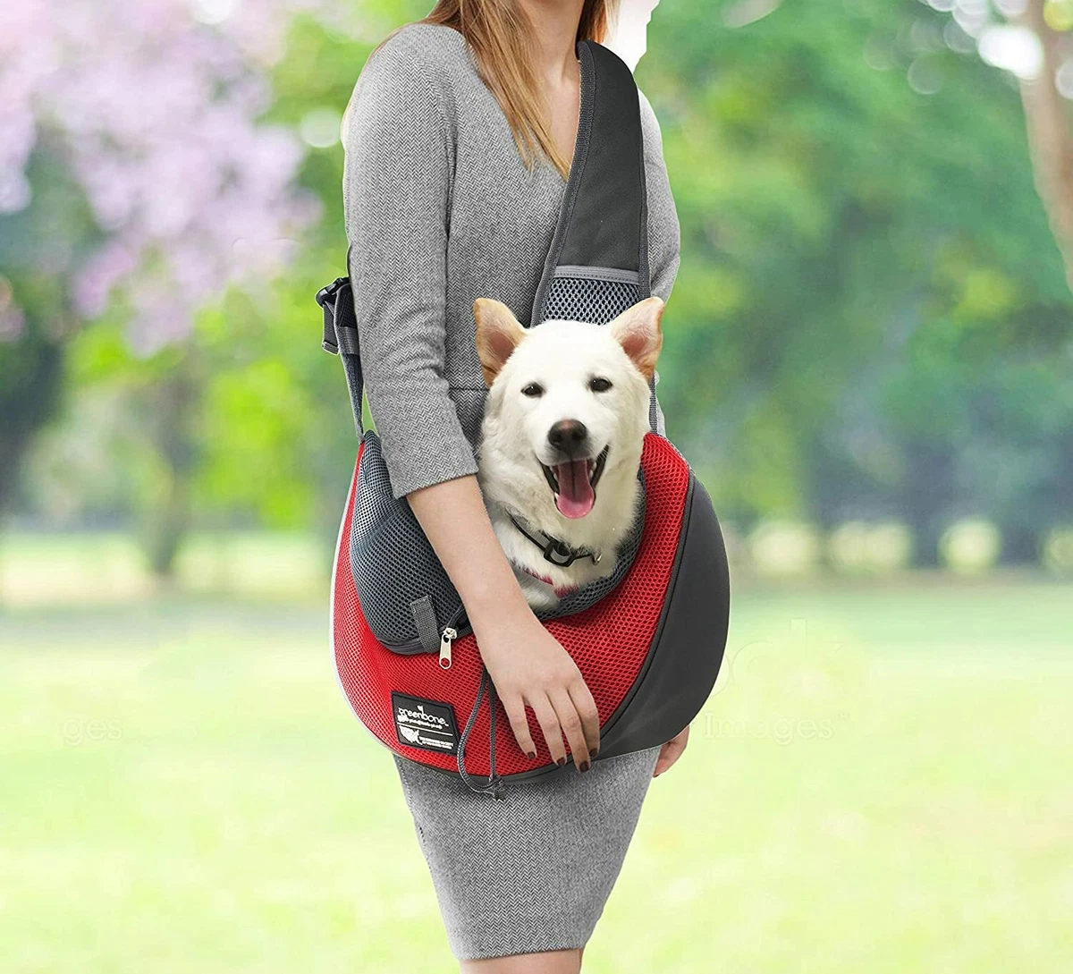 Dog clearance body carrier