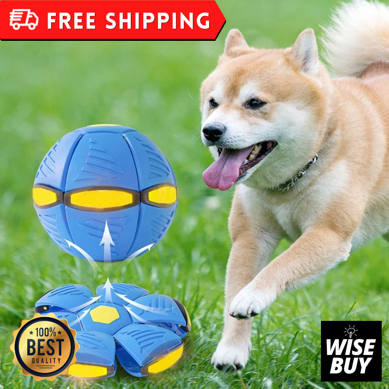 Flying Saucer Ball Interactive Outdoor Sports Training Games Dog Throw