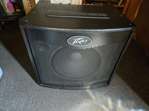 Peavey TNT 100 Solid State 45-Watt 1x15" Bass Combo Amplifier CG01KYE