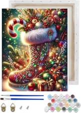 TCDZMYGS Christmas Paint by Numbers Kit for Adults Beginner,Boots Paint by Numbe