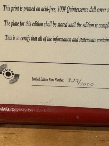 The Rolling Stone VOODOO LOUNGE WORLD TOUR Limited Ed. Litho, 827/5000 Signed - Picture 8 of 12