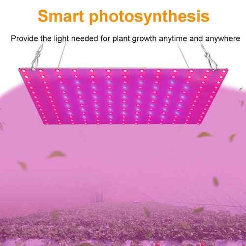 169 LED Full Spectrum Plant UV Grow Light Veg Lamp For Indoor Hydroponic Plant - Picture 10 of 18