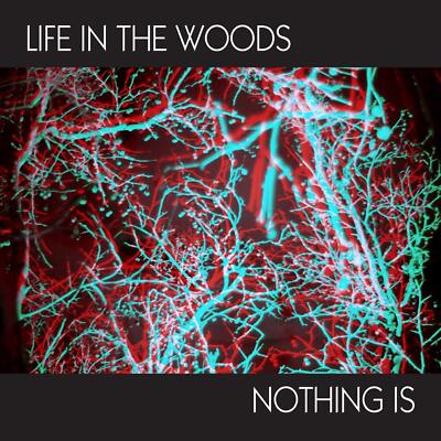 Life In The Woods - Nothing Is - Vinyl (7'' Limited Edt.)