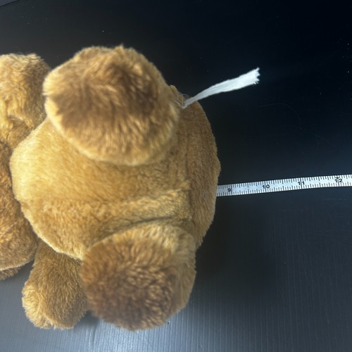 Peluche orsacchiotto Eden marrone massiccio peluche musicale si siede avvolgi VEDI VIDEO - Foto 13 di 13