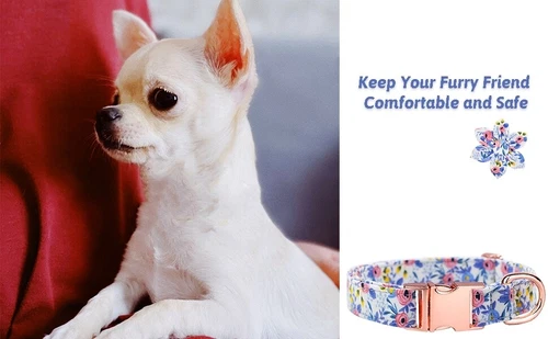 Soft Dog Collar for Boy Girl Dogs Adjustable Puppy Collars, Floral M - Picture 2 of 6