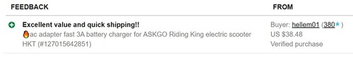 🔥Netzteil Schnell 3A Akku Ladegerät für ASKGO Riding King Elektroroller HKTT - Bild 5 von 5