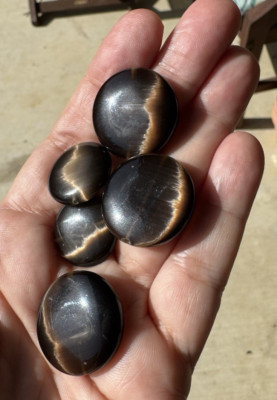 5 Flat Brown Disc Glass Beads Shiney Smooth Catseye Reflection in Sun 2 Sizes