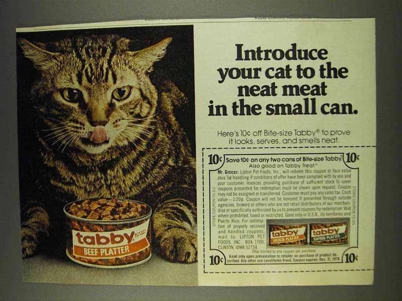 Tabby cat shop food