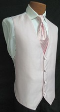 Men's Petal Pink Jean Yves Sterling Tuxedo Vest  Long Tie Wedding Prom Cruise