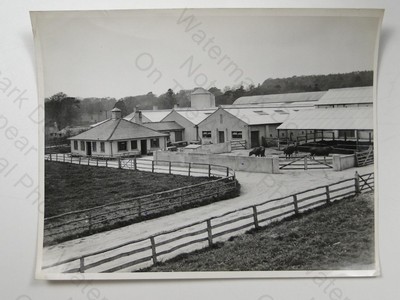 Modell Milchvieh Bauernhof Rinder Vieh Gebäude Charles E Brown um 1930 Vintage Foto