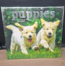 2018 16-Month Wall Calender 12" X 11" Puppies Sealed
