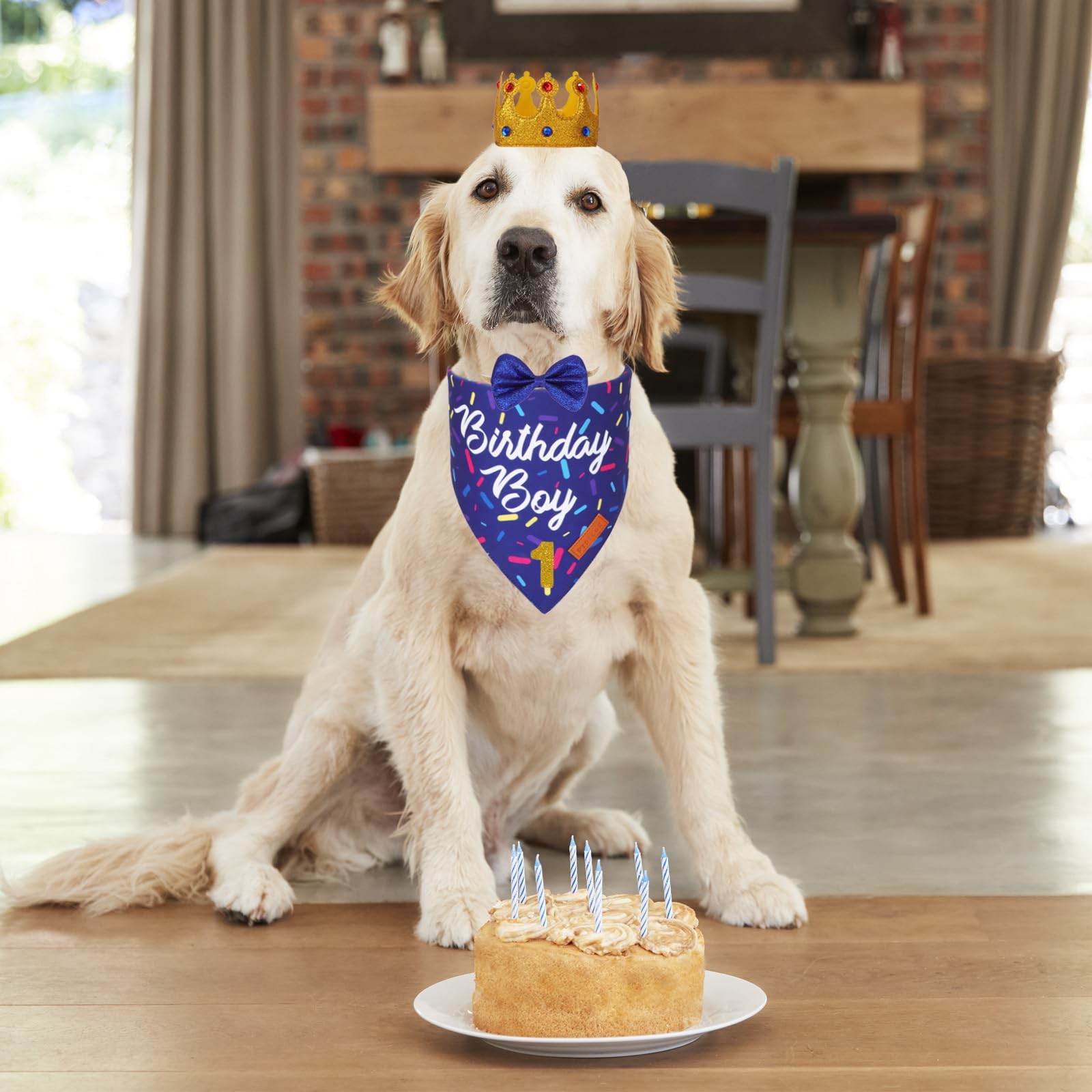 Dog Birthday Party Supplies, Birthday Boy Bandana Golden King Crowns with Num...