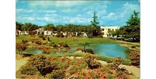 1950s Santa Monica CA Douglas Park Plastichrome Wilshire Blvd View Flower Bed