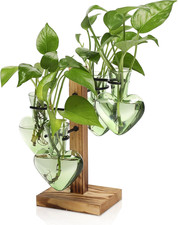 Plant Terrarium Propagation Stations with Wooden Stand