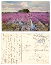 132846 - Heidelandschaft - Soldatenkarte, gelaufen Förstgen 20.12.1912