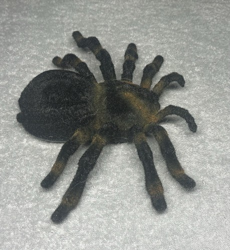 Fantasma Toys Toys “R” Us Remote Control Web Attack Tarantula no Remote (2014) - Picture 6 of 11