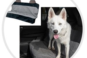 bergan seat protector