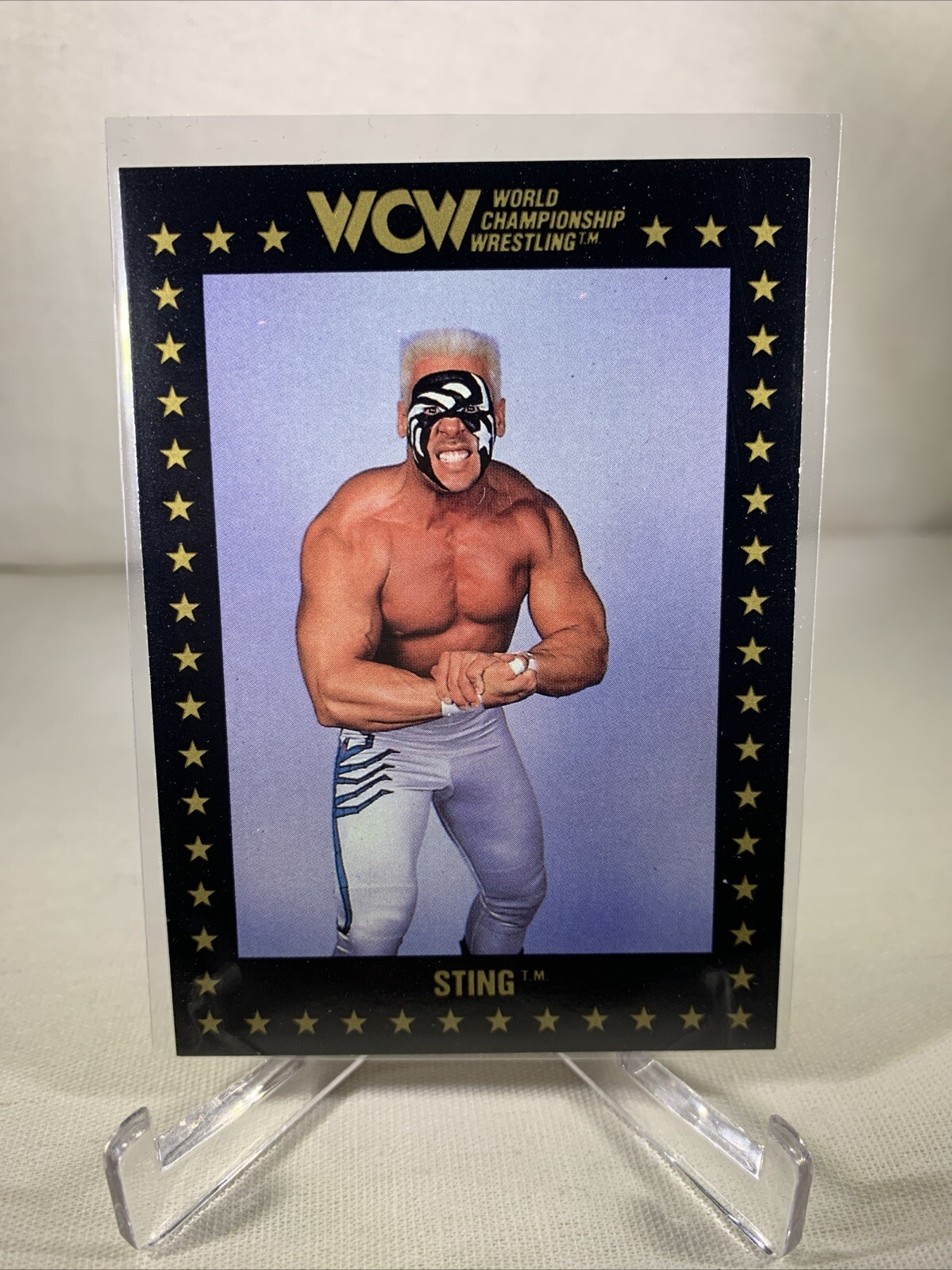 1991 Championship Marketing WCW Wrestling Card #49 Sting NM
