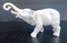 Elefante in porcellana bianca