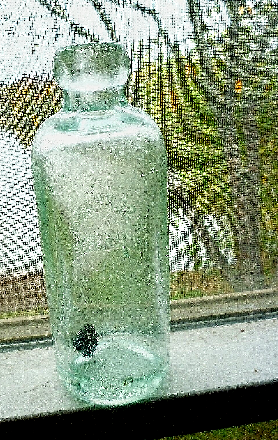 Picture 4 of 4