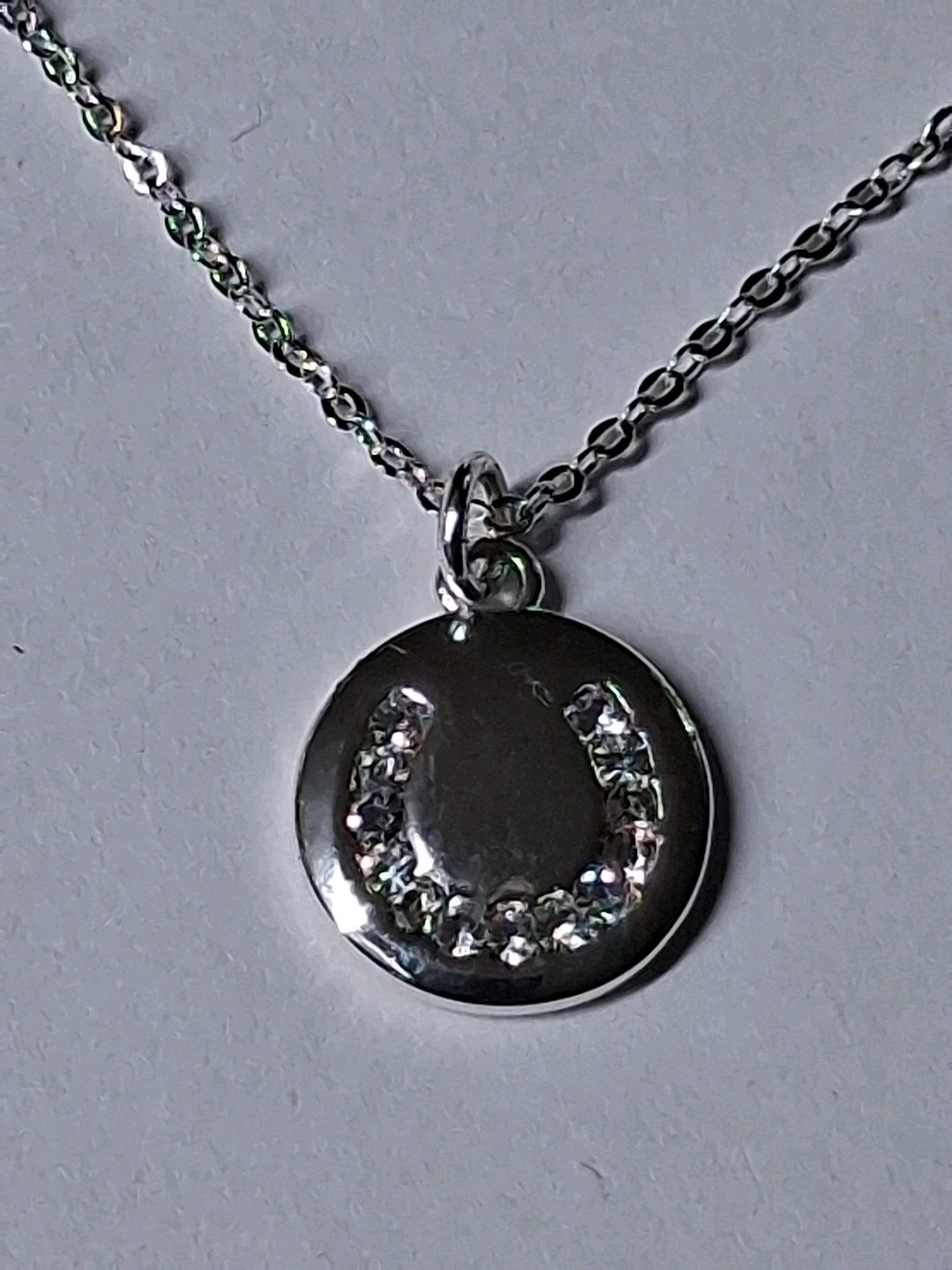 Equilibrium Horseshoe Coin Necklace Silver Plated